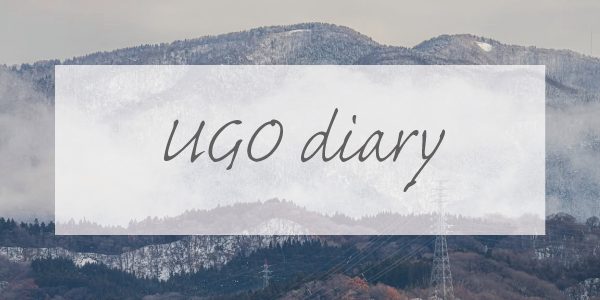 ゆっくりと思っていたら、急に冬が本気を出してきました