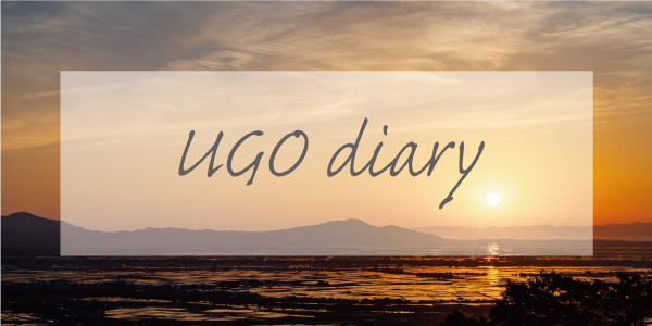 新しい年のはじまりに